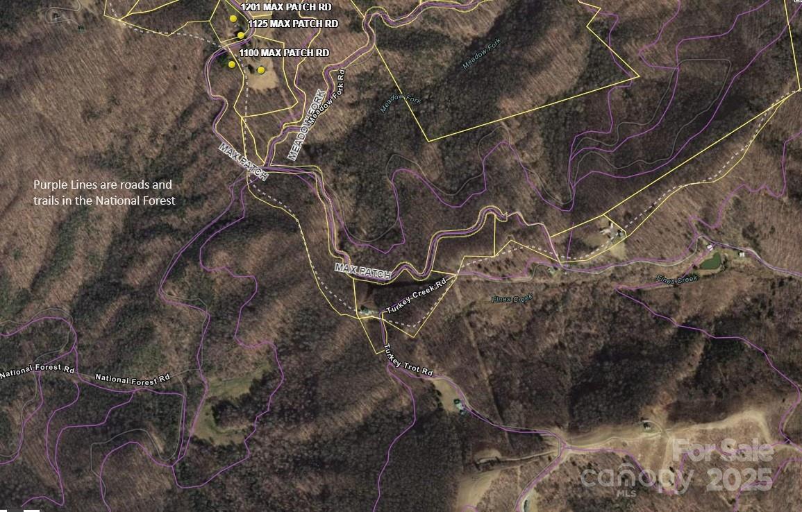 2 Turkey Trot Road Clyde, NC 28721 - Photo 41 of 48