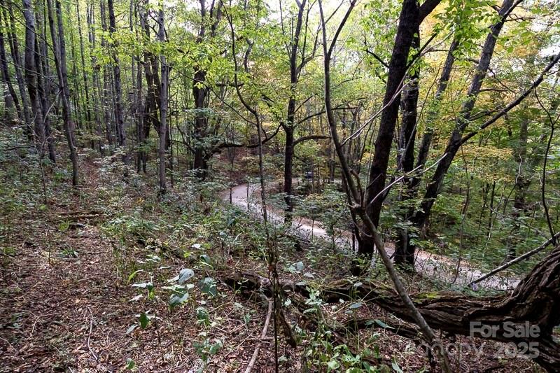 2 Turkey Trot Road Clyde, NC 28721 - Photo 46 of 48 a view of a forest with lots of trees