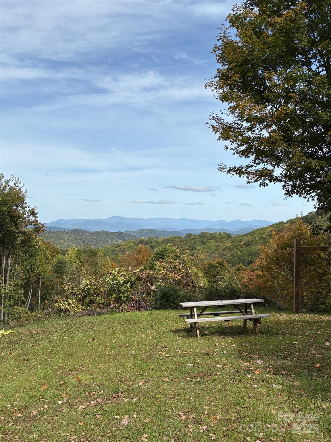 2 Turkey Trot Road Clyde, NC 28721 - Photo 48 of 48