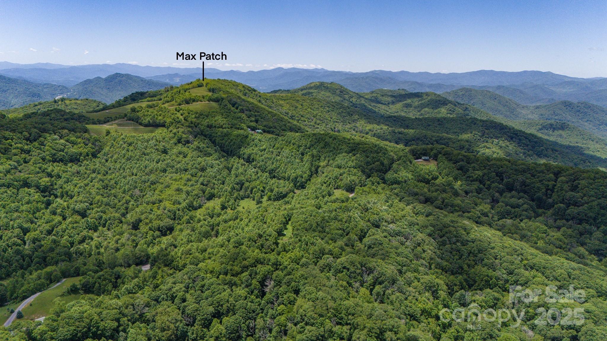 2 Turkey Trot Road Clyde, NC 28721 - Photo 5 of 48 a view of a lush green hillside and a building in the background