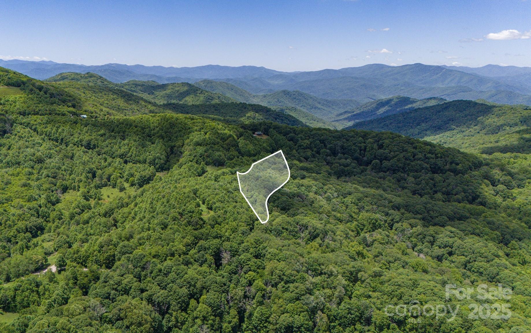 2 Turkey Trot Road Clyde, NC 28721 - Photo 7 of 48 a view of a lush green hillside and a mountain view
