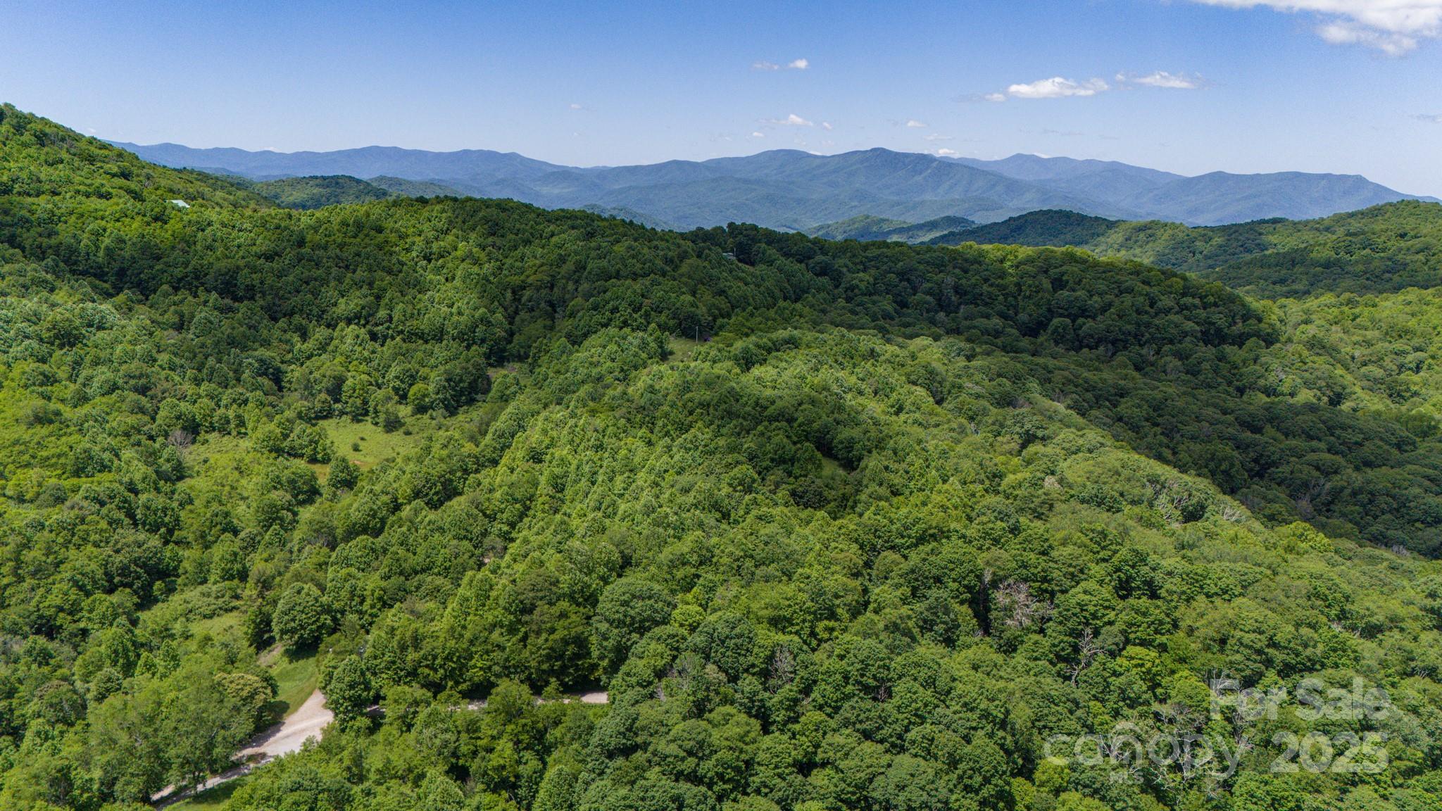 2 Turkey Trot Road Clyde, NC 28721 - Photo 8 of 48 a view of a lush green hillside and a mountain view