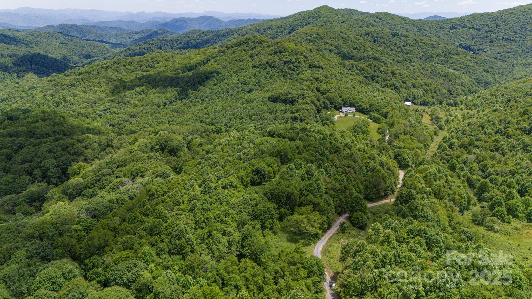 2 Turkey Trot Road Clyde, NC 28721 - Photo 9 of 48 a view of a lush green forest with lush green forest