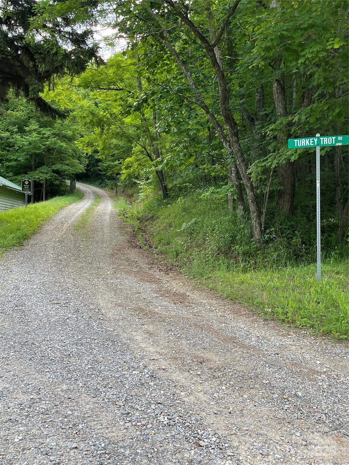 2 Turkey Trot Road Clyde, NC 28721 - Photo 10 of 48 a view of a yard with plants and large trees