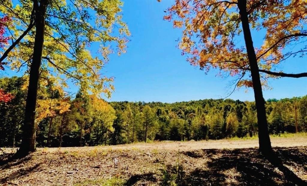 a view of a yard covered with snow