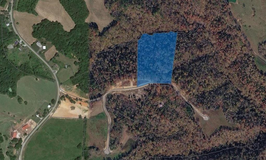 0 State Park Road Burkesville, KY 42717 - Photo 6 of 7 a aerial view of a house