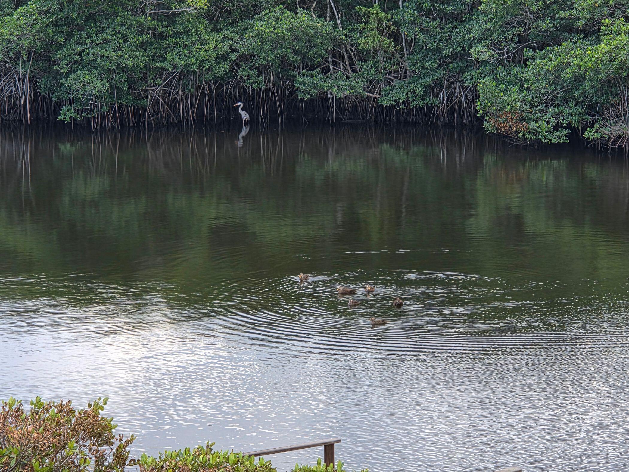 950 South Kanner Highway, Unit 206 Stuart, FL 34994 - Photo 30 of 30 Residents