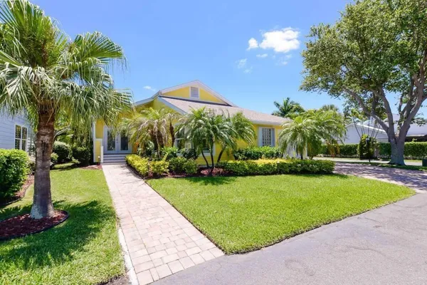 a view of a backyard with palm trees