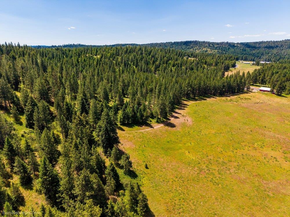 10307 Jasmine Lane Chattaroy, WA 99003 - Photo 12 of 49