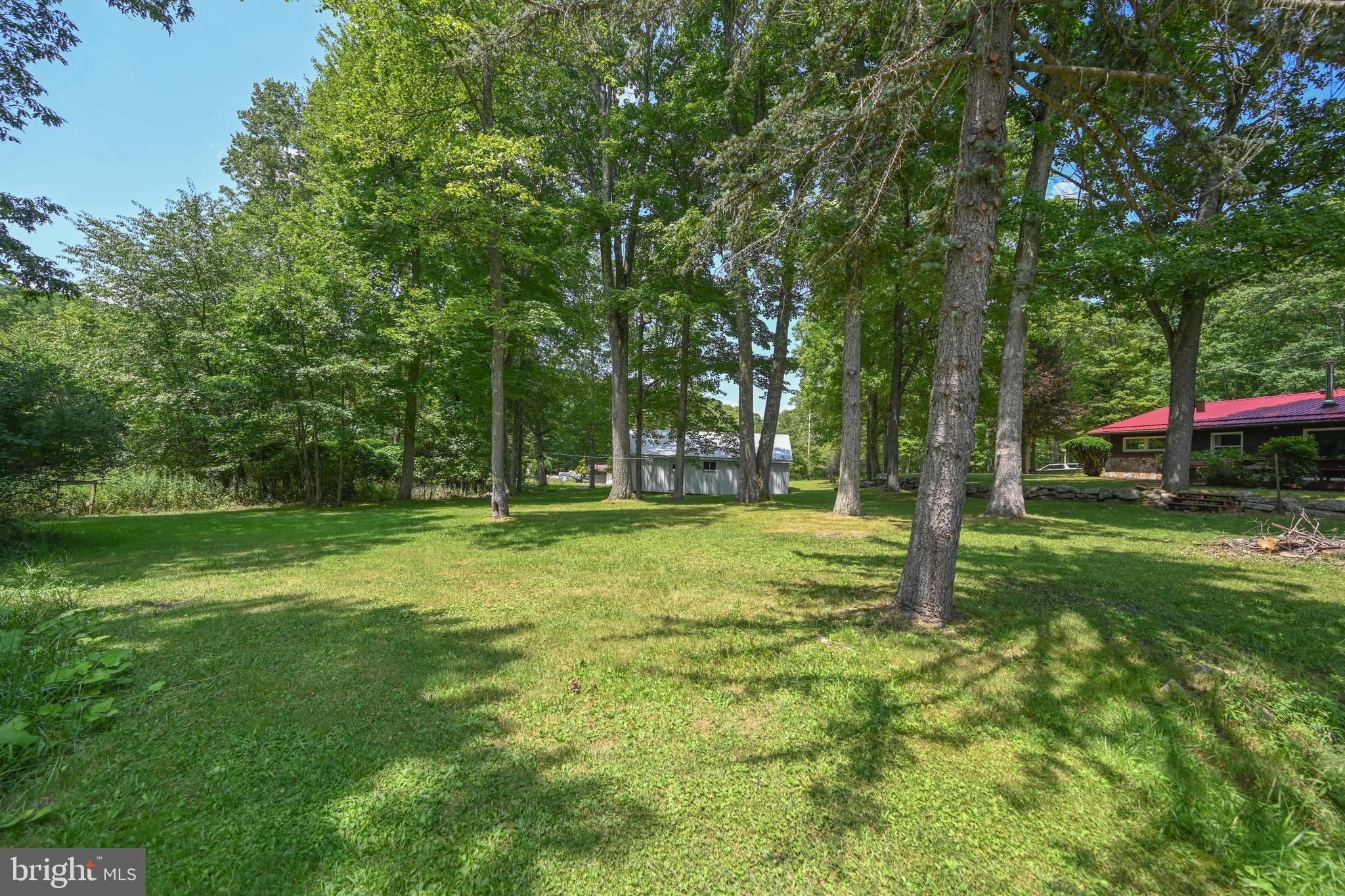 255 Foster Road Oakland, MD 21550 - Photo 42 of 84 Large lot that is beautiful and private.
