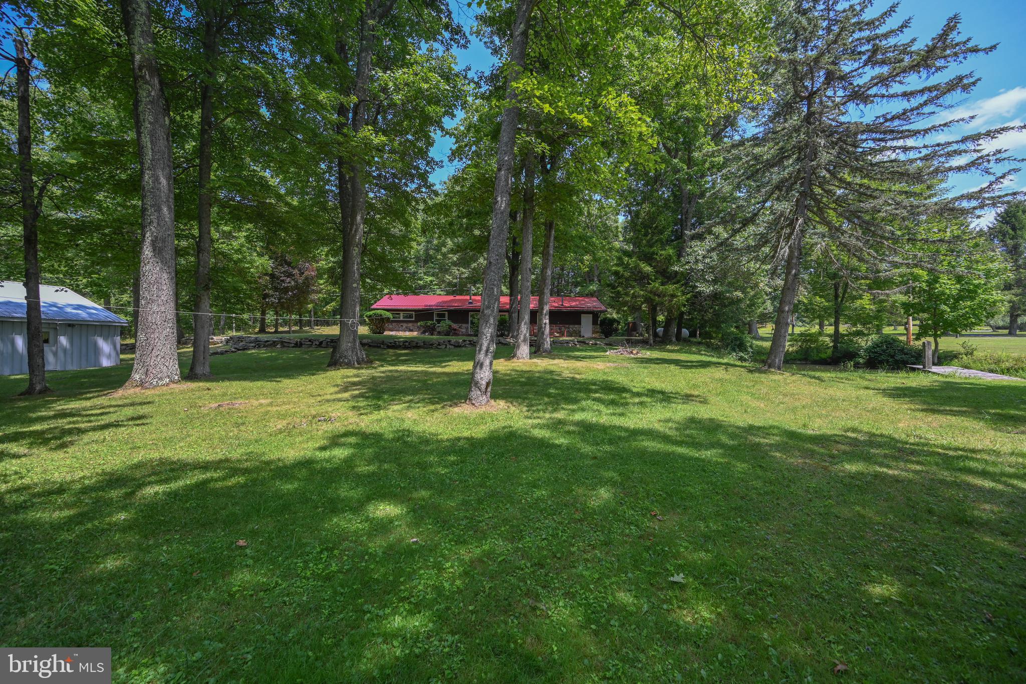 255 Foster Road Oakland, MD 21550 - Photo 43 of 84 Beautiful large lot.