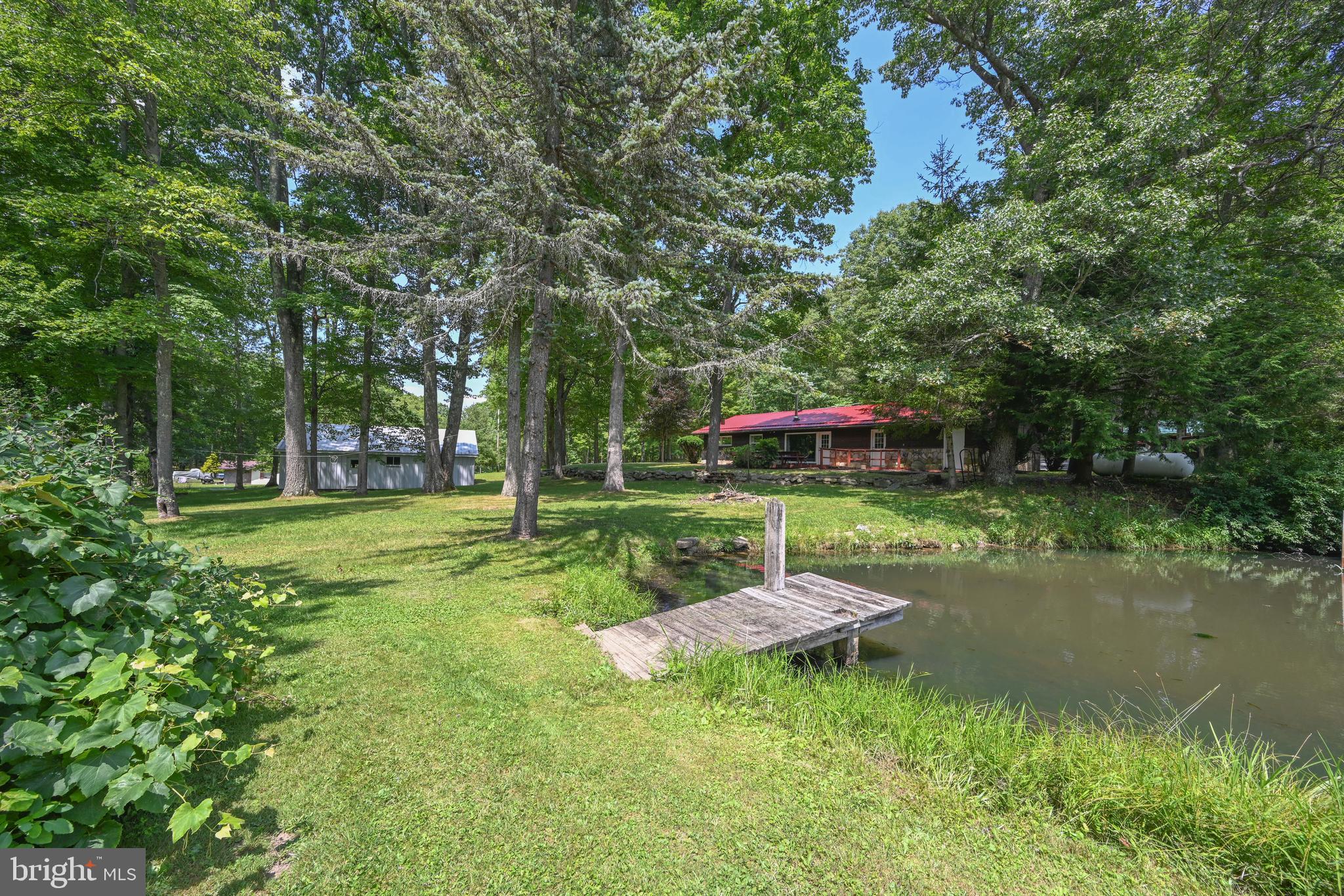 255 Foster Road Oakland, MD 21550 - Photo 44 of 84 Fishing anyone?
