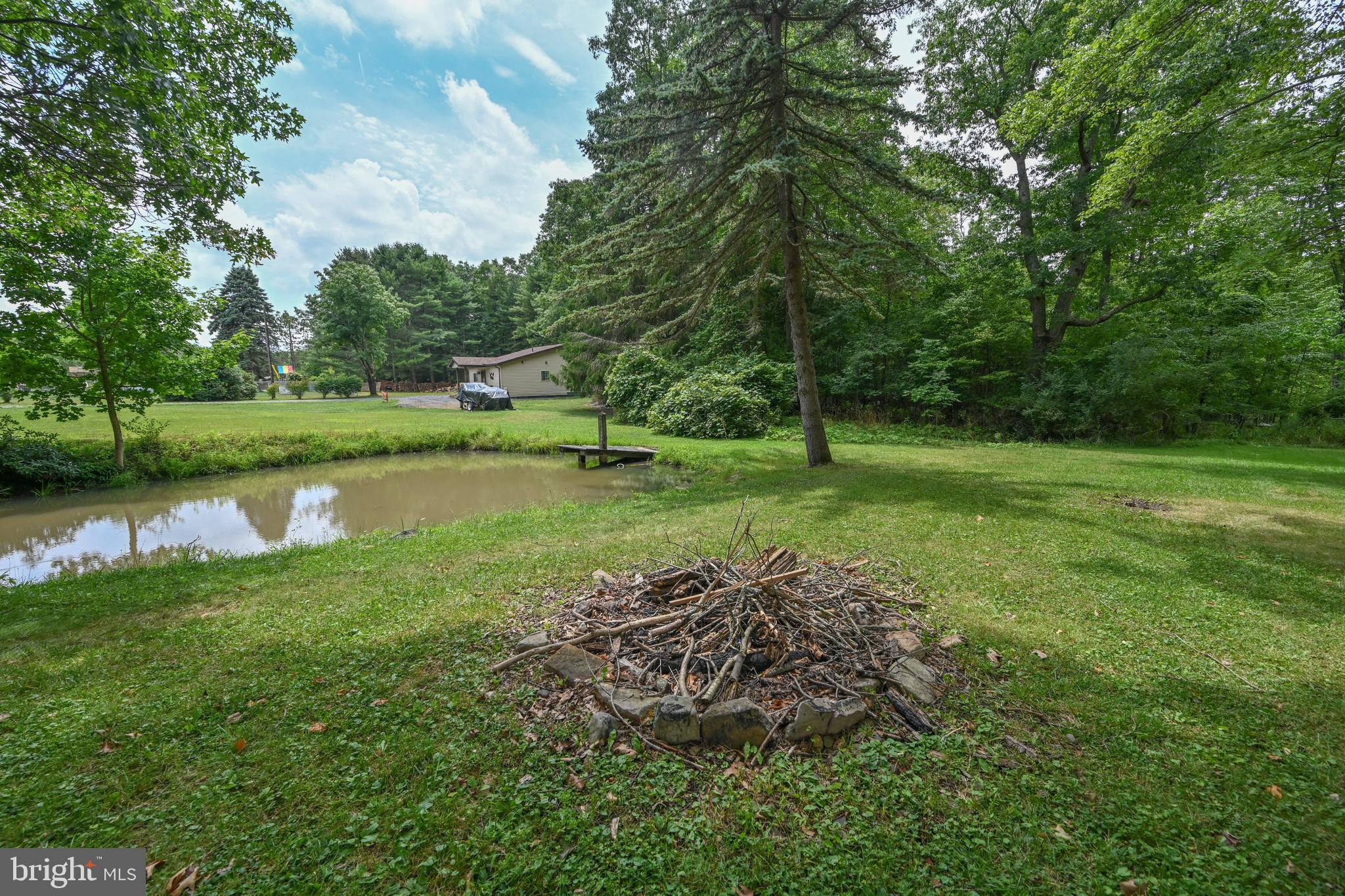 255 Foster Road Oakland, MD 21550 - Photo 46 of 84 Fire pit by the pond for stories and smores.