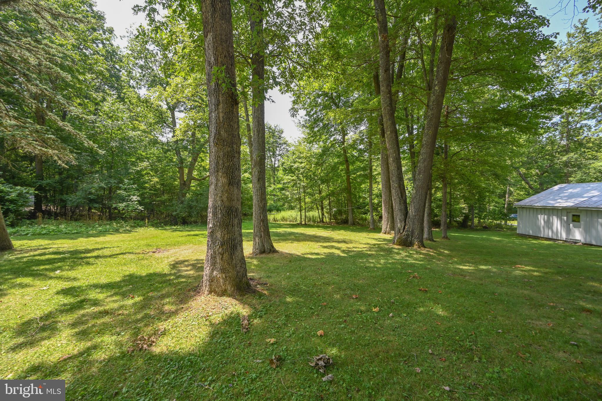 255 Foster Road Oakland, MD 21550 - Photo 47 of 84 Beautiful lot.