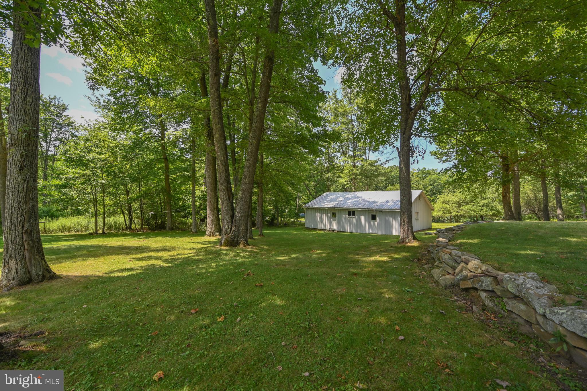 255 Foster Road Oakland, MD 21550 - Photo 52 of 84 Naturally landscaped.