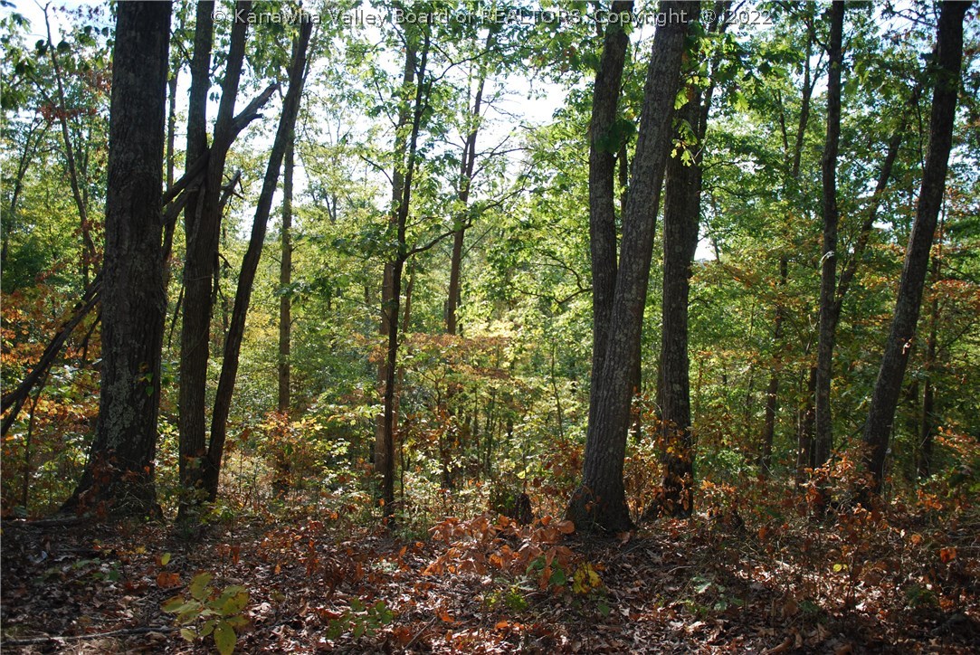 1755 Doc Casto Road Leon, WV 25123 - Photo 3 of 32 Gallery Image 3