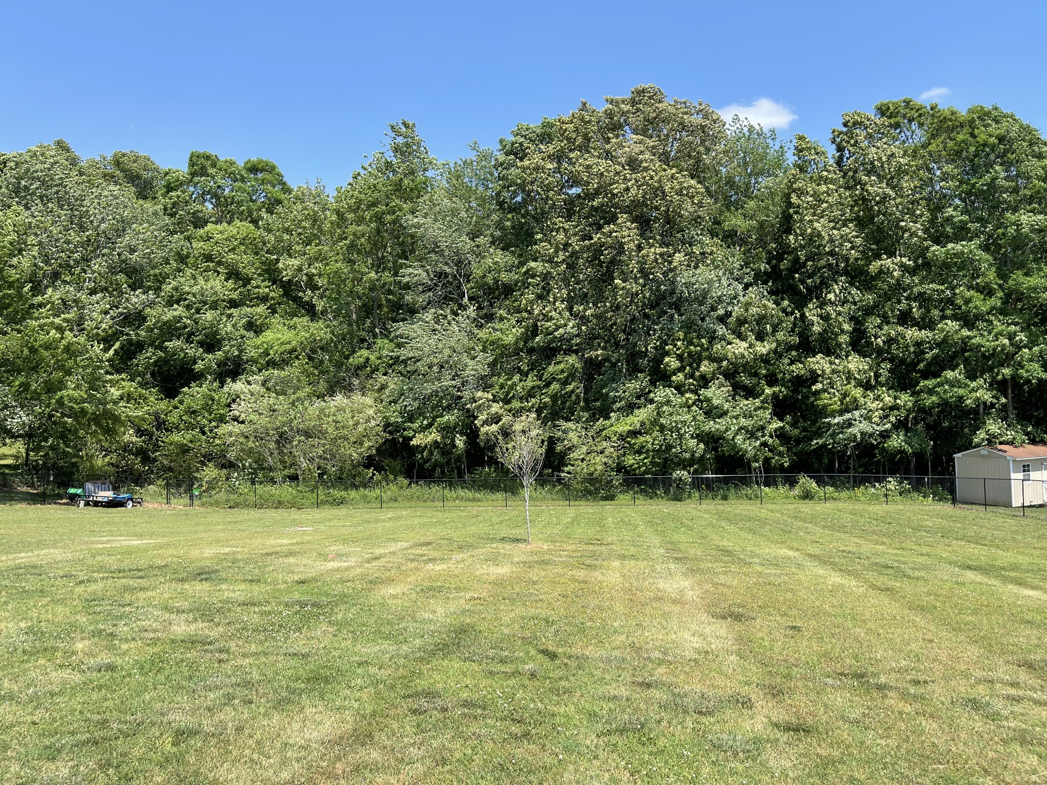 6017 Campbell Road Cross Plains, TN 37049 - Photo 3 of 37 Gallery Image 3