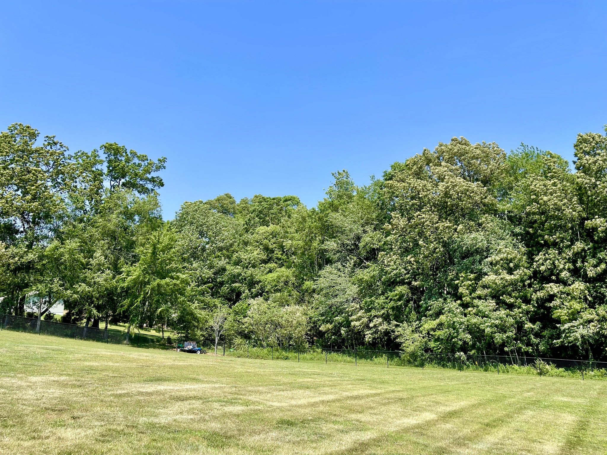 6017 Campbell Road Cross Plains, TN 37049 - Photo 32 of 37 Gallery Image 32
