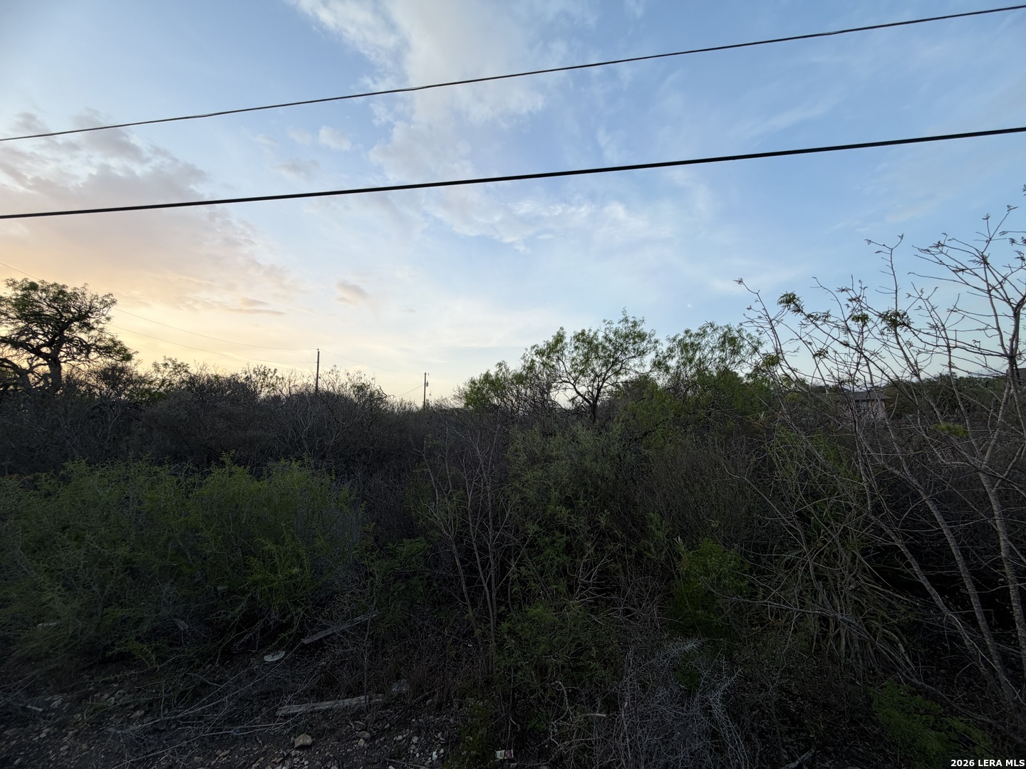 459 County Road Hondo, TX 78861 - Photo 3 of 6 a view of a yard