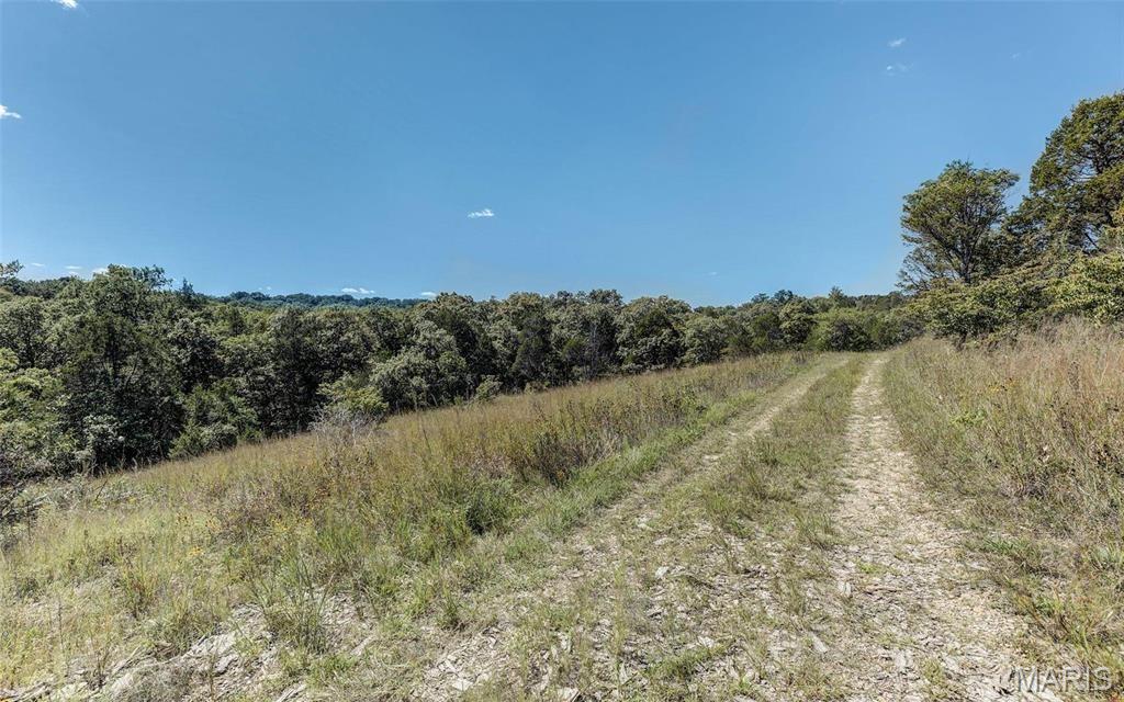 43 Acres /- Ridge Road Dittmer, MO 63023 - Photo 4 of 13 Gallery Image 4