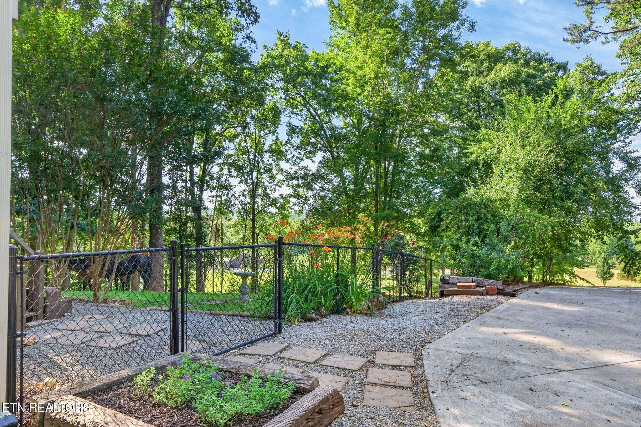 511 Lower River Road Decatur, TN 37322 - Photo 4 of 51 Gallery Image 4
