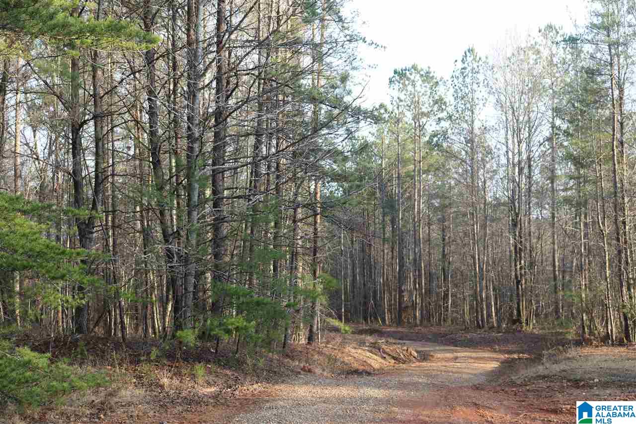 0 County Road 928, Unit 36 Delta, AL 36258 - Photo 10 of 20