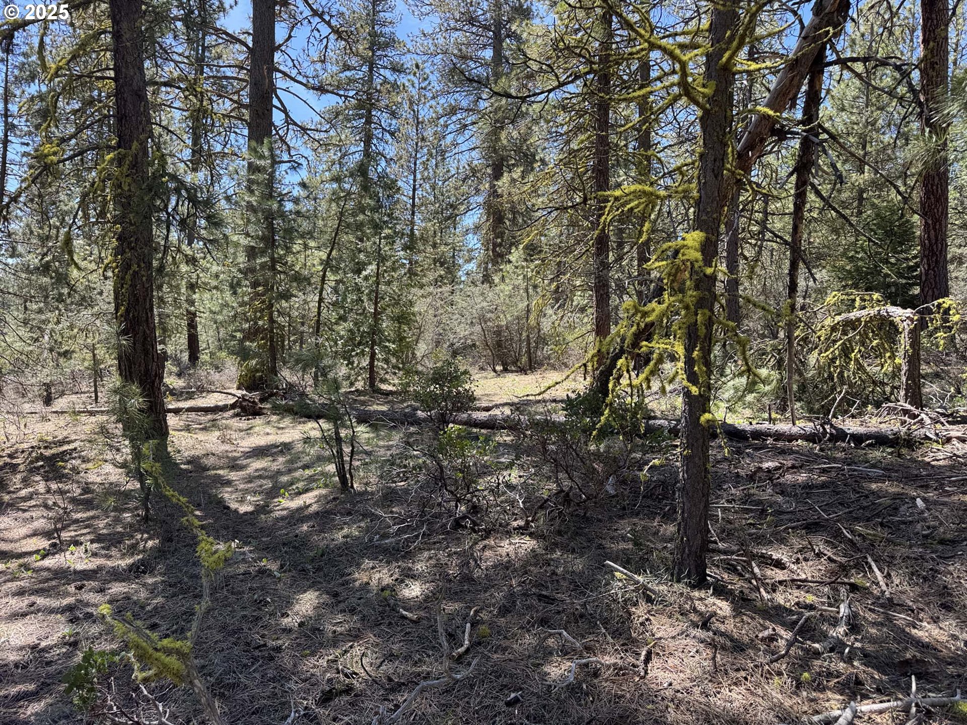 Horned Owl Lane Bonanza, OR 97623 - Photo 35 of 44