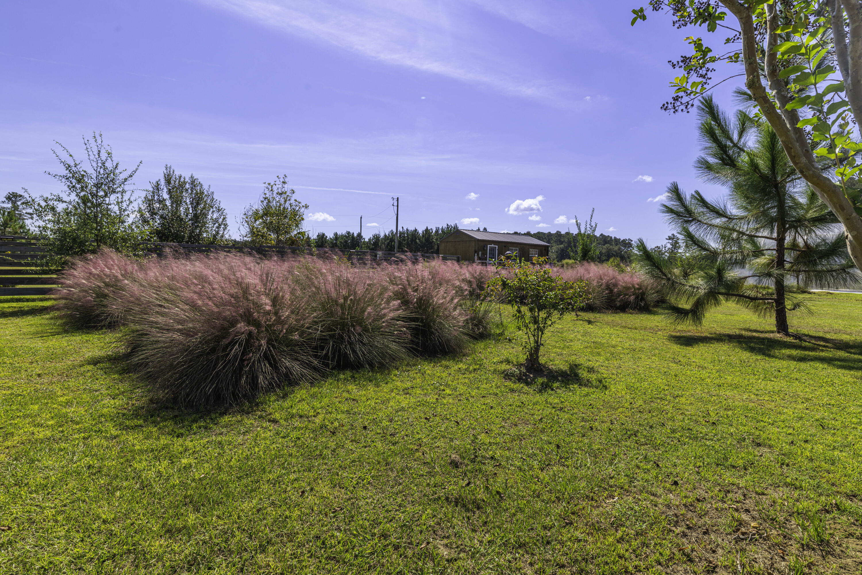 1014 Fire Hill Road Walterboro, SC 29488 - Photo 126 of 162 Love the Sweetgrass in the Fall!