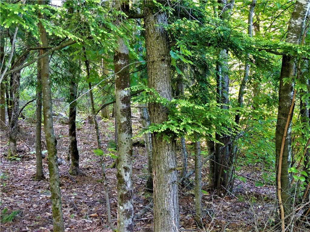0 East Ridge Road East Skowhegan, ME 04976 - Photo 4 of 6 Photo