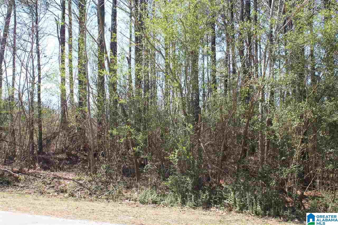 0 Clarendon Road, Unit LOT #61 Cullman, AL 35057 - Photo 7 of 9 Gallery Image 7