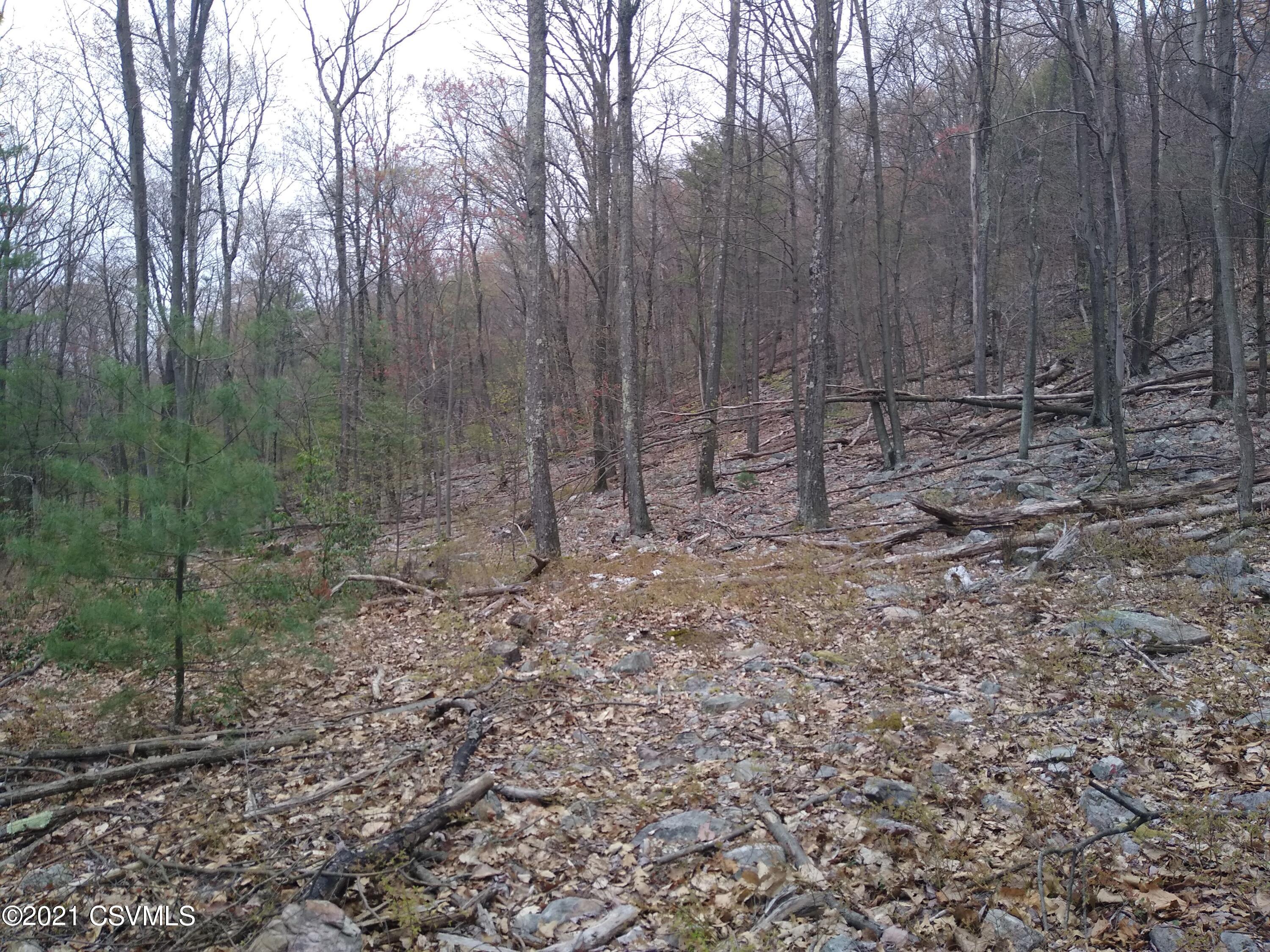 21-acres End Road Richfield, PA 17086 - Photo 5 of 5 Gallery Image 5