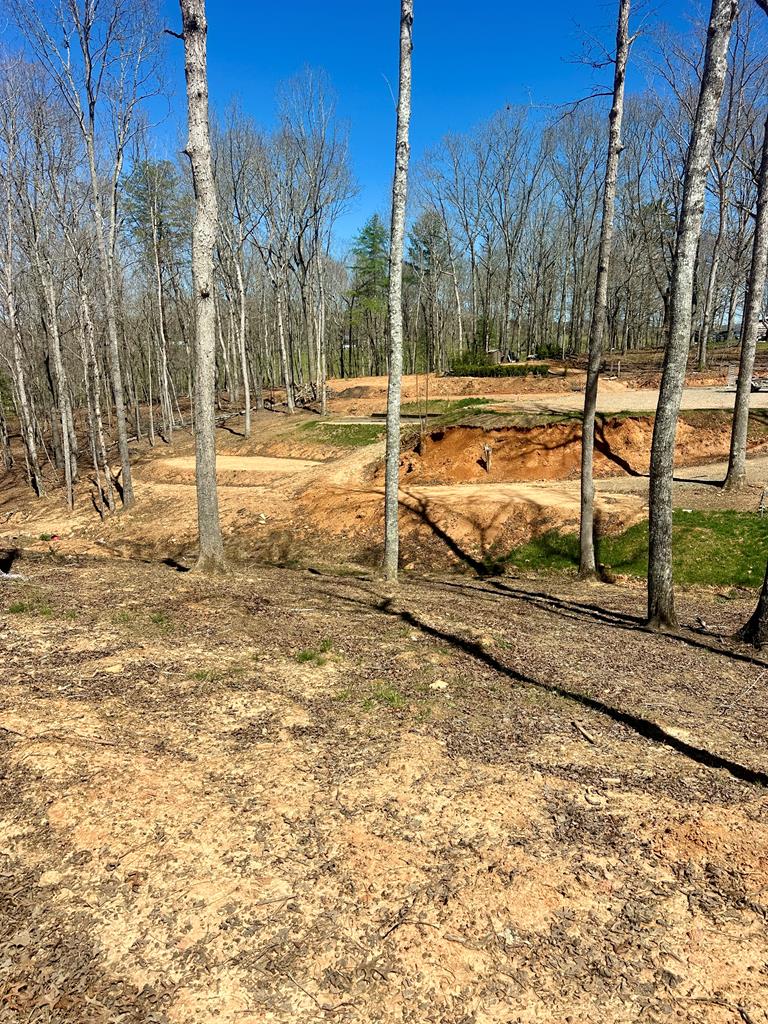 554 Tipton Springs Road Morganton, GA 30560 - Photo 50 of 74