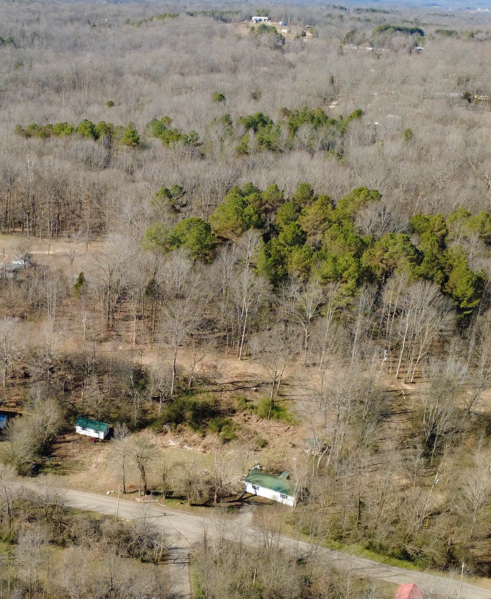 531 Big Rock Road Big Rock, TN 37023 - Photo 16 of 42