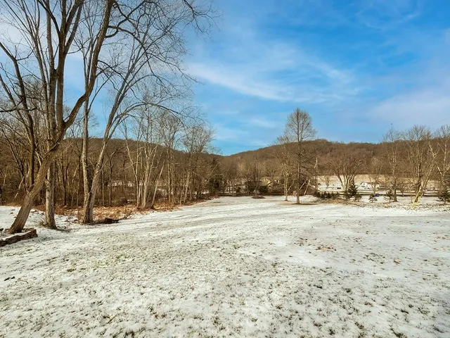 a view of a yard with a large tree