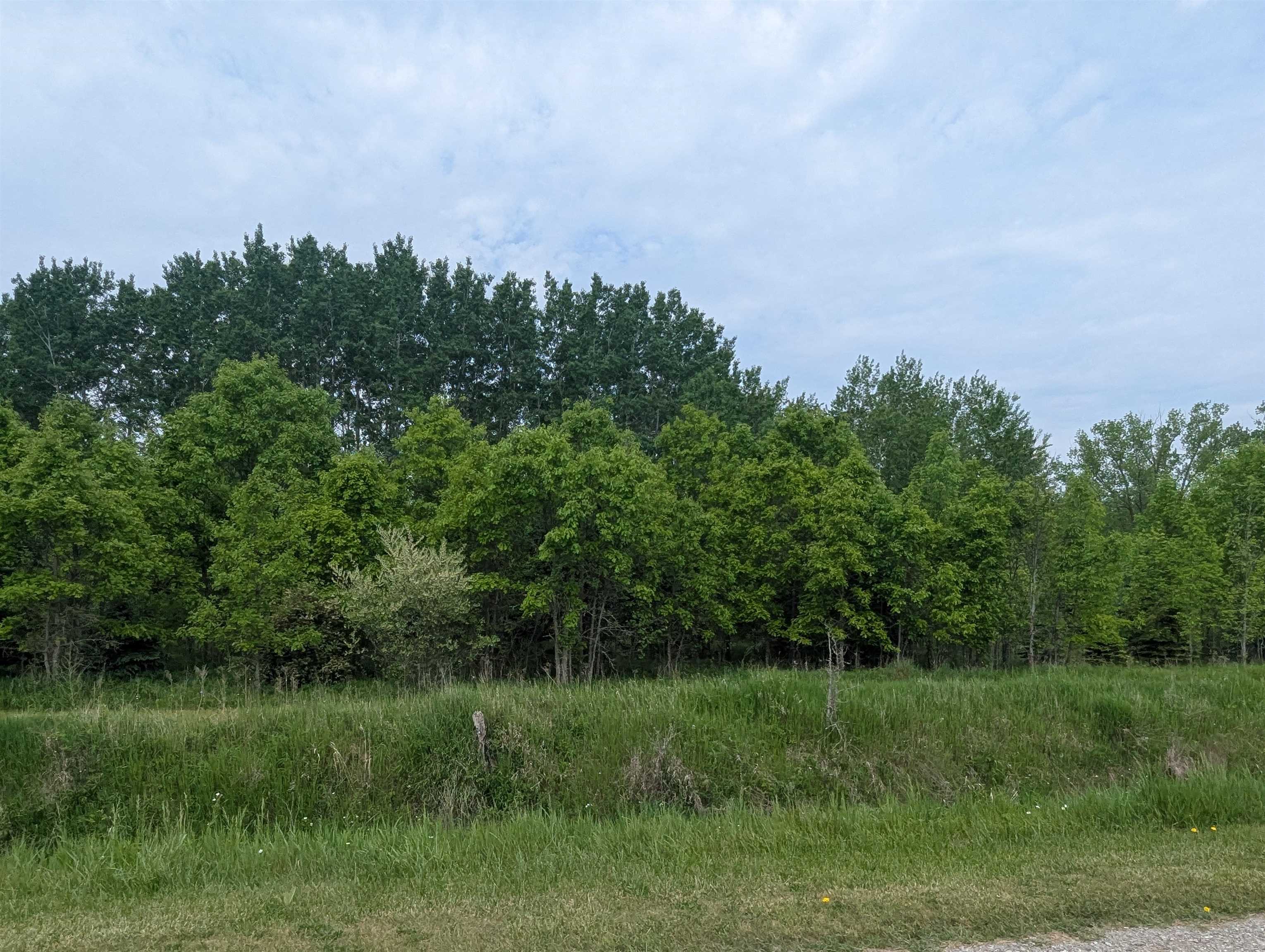 N/a Twining Road Turner, MI 48765 - Photo 2 of 8 1934844-e4f89f5f-8186-48ec-b9fb-c8c852d33af3.JPG