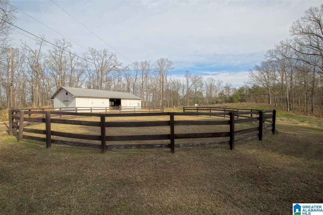 1850 Highway 132 Oneonta, AL 35121 - Photo 11 of 43