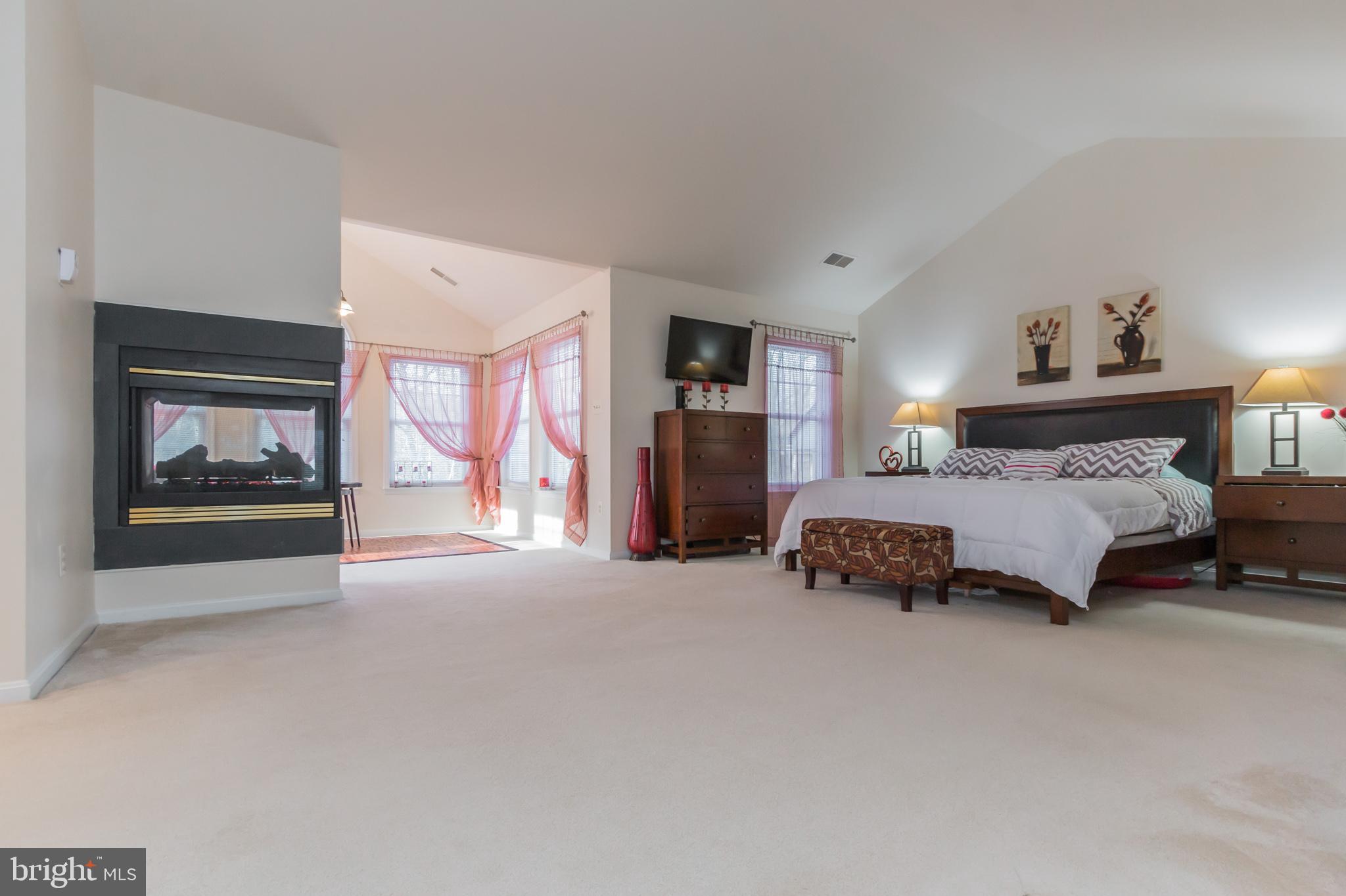 1508 Rising Ridge Road Mount Airy, MD 21771 - Photo 19 of 39 Master bedroom with fireplace and sitting room