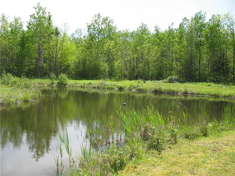 271 North Dexter Road Parkman, ME 04443 - Photo 8 of 26 Yard/Garden. Pond