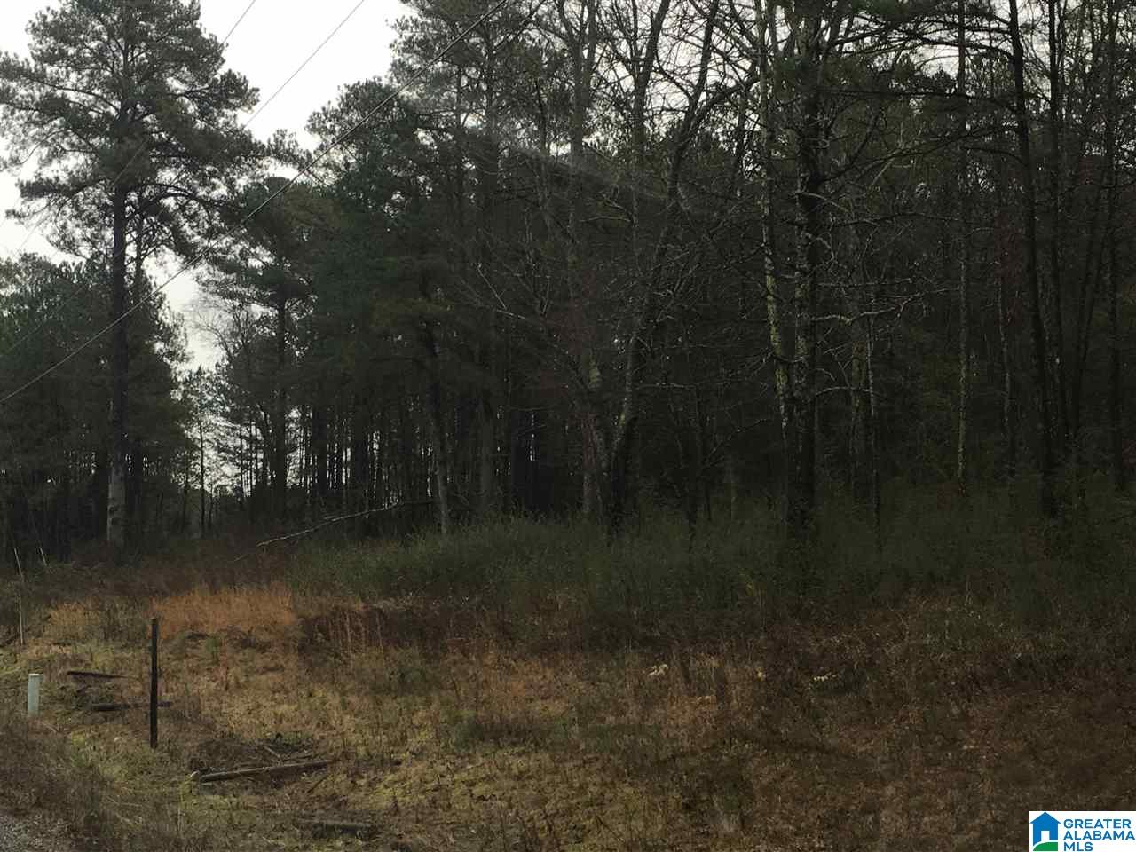 1245 Eureka Road, Unit 2 Lincoln, AL 35096 - Photo 27 of 32