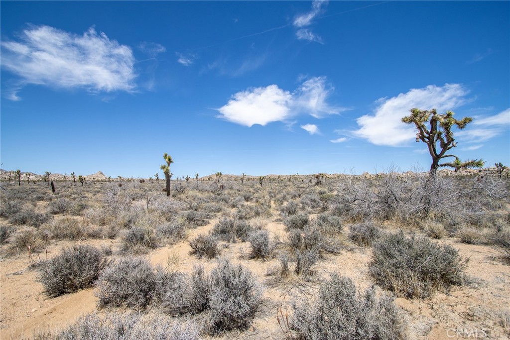 52552 Gamma Gulch Road Pioneertown, CA 92268 - Photo 2 of 10 a view of a sky