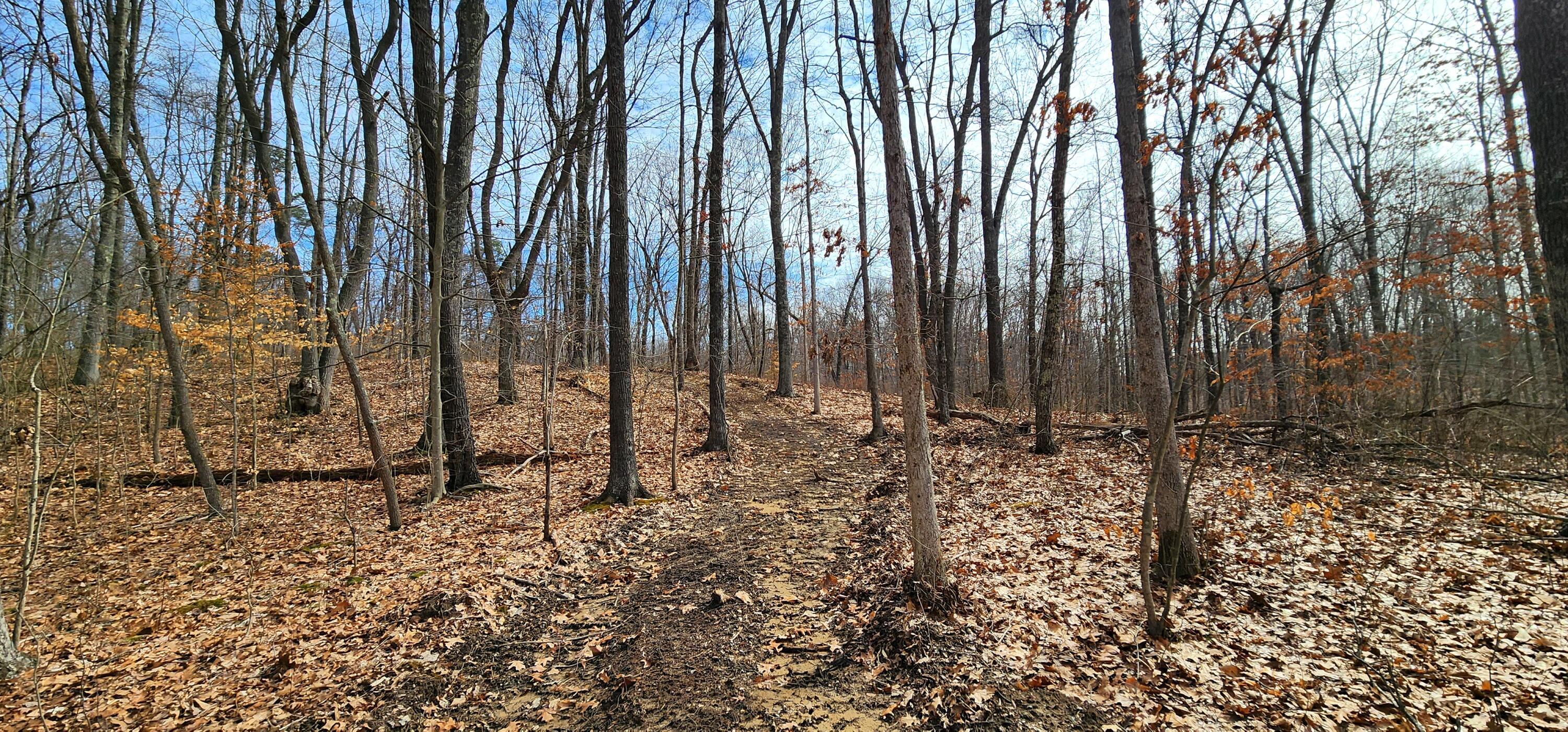 0 Edmundson Road, Unit TRACT 4 AT BIG TIMBER) Vinton, OH 45686 - Photo 4 of 67 4