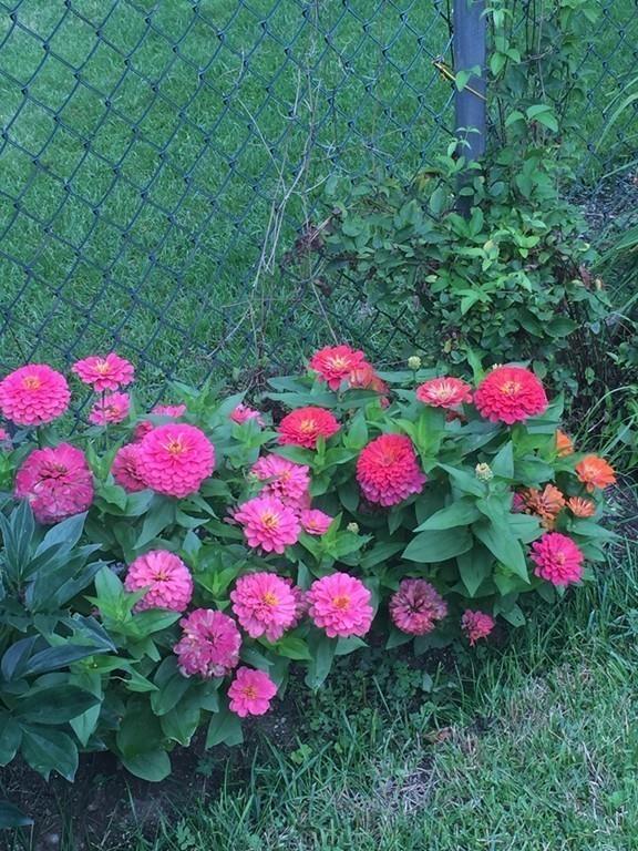135 Andover Road Billerica, MA 01821 - Photo 6 of 42