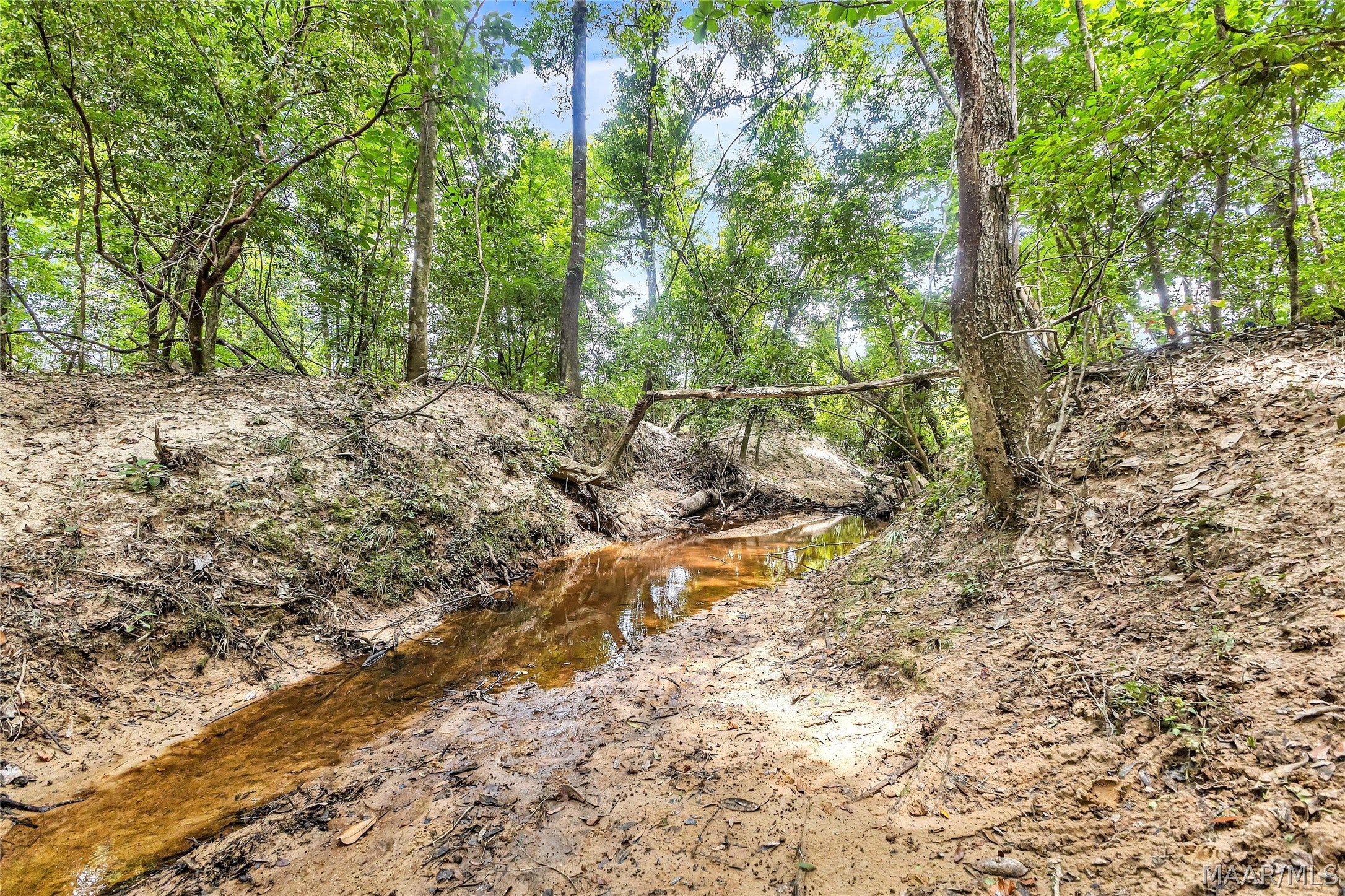 0 Halso Mill Road Greenville, AL 36037 - Photo 17 of 26 Gallery Image 17