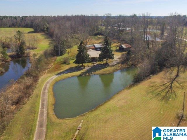 7550 County Road 59 Verbena, AL 36091 - Photo 32 of 41
