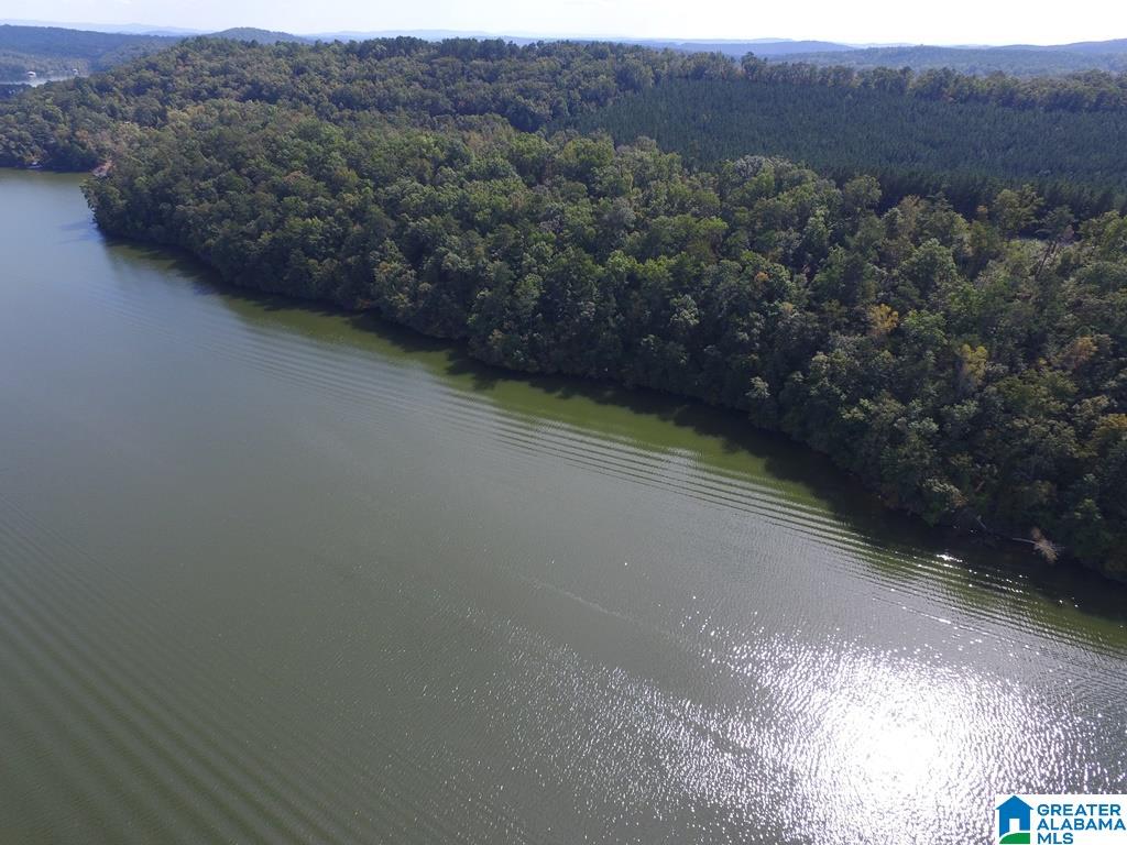 2359 Waldrop Road, Unit 5 Ashville, AL 35953 - Photo 4 of 9