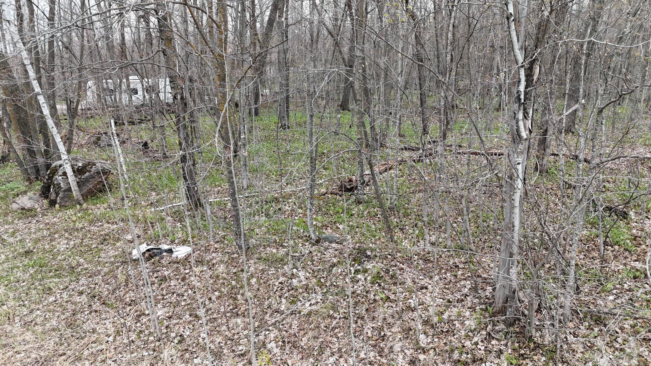 Tbd 327th Avenue Isle, MN 56342 - Photo 5 of 8