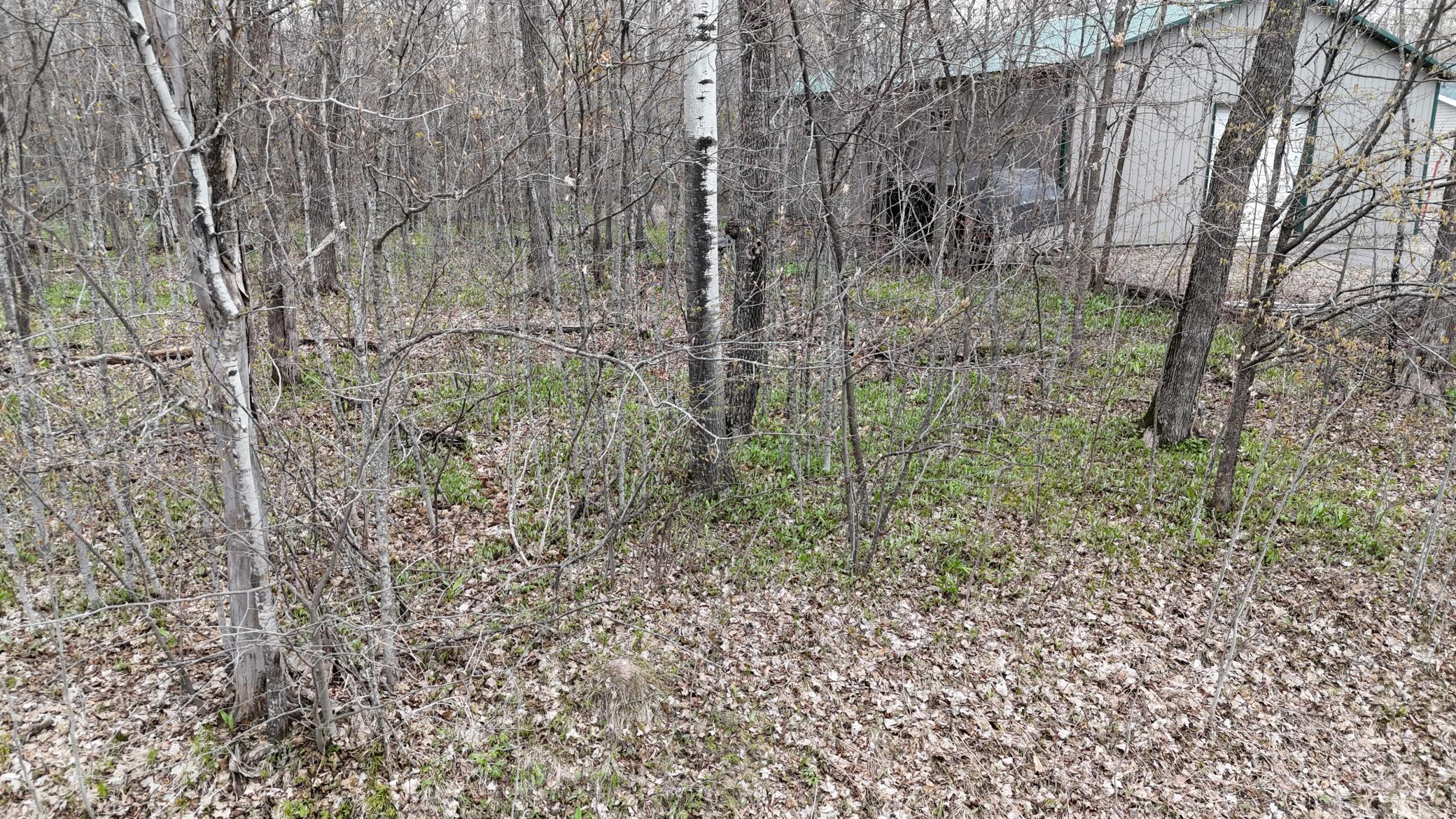 Tbd 327th Avenue Isle, MN 56342 - Photo 6 of 8