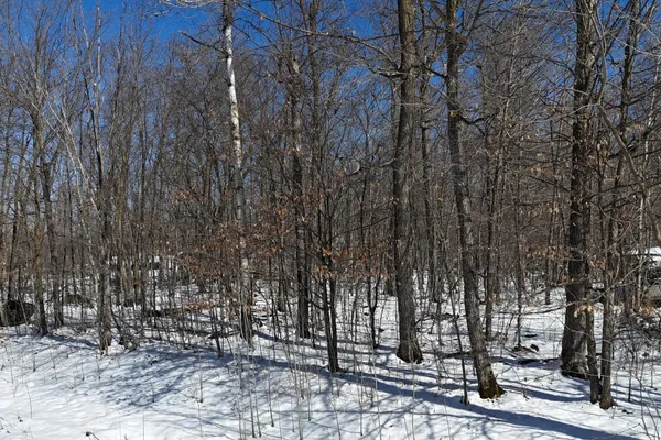 $30,000 | Tbd 327th Avenue, Isle, MN 56342