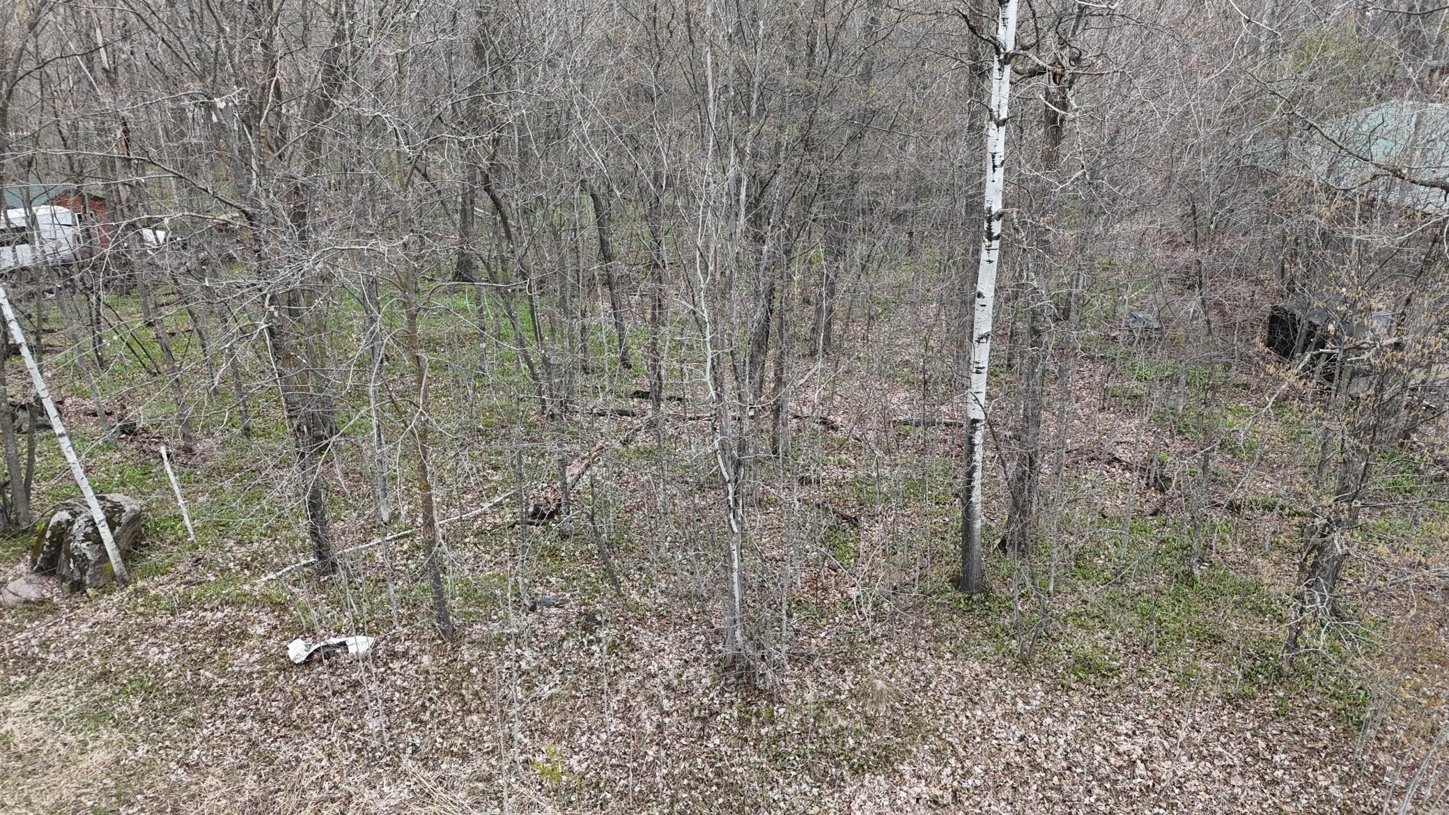 Tbd 327th Avenue Isle, MN 56342 - Photo 8 of 8