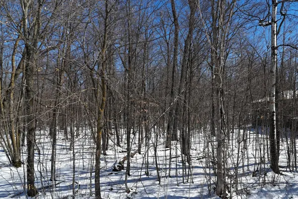 $30,000 | Tbd 327th Avenue, Isle, MN 56342